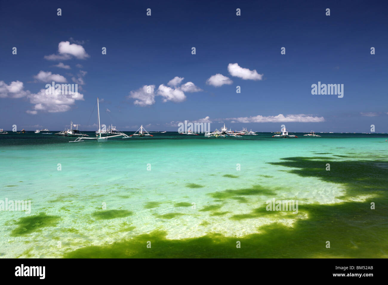 Natural algae on the shore on White Beach, Boracay, the most famous