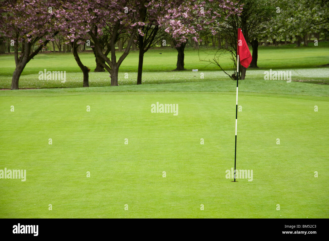 West Herts Golf Course, Watford, Hertfordshire Stock Photo Alamy