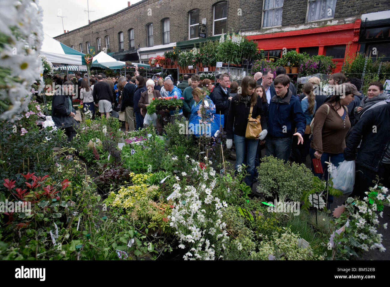 columbia road flower market in london Stock Photo Alamy