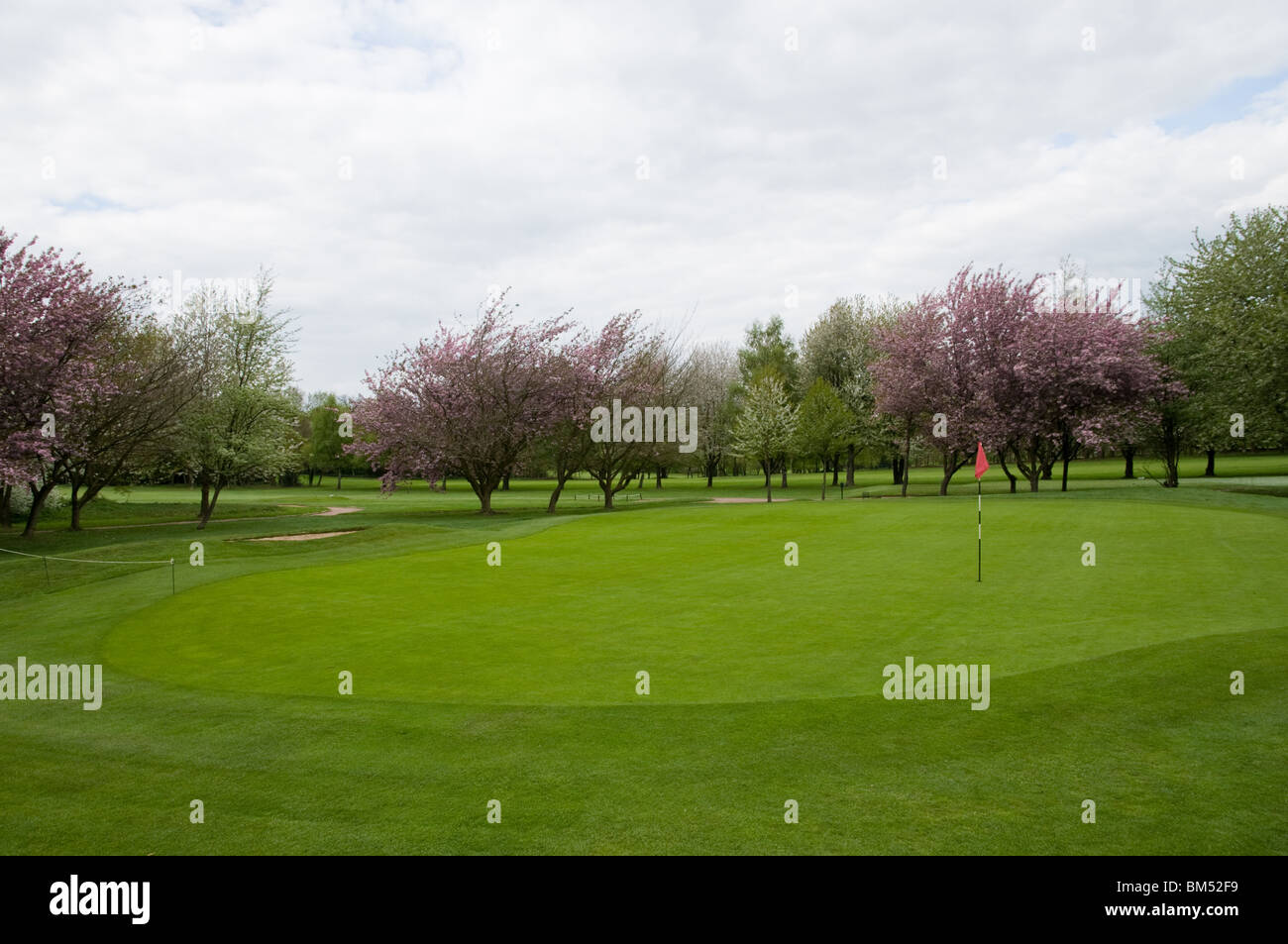 West Herts Golf Course, Watford, Hertfordshire Stock Photo Alamy