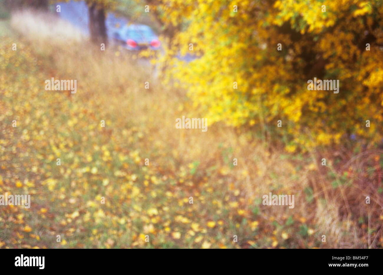 Back rear view spine hi-res stock photography and images - Alamy