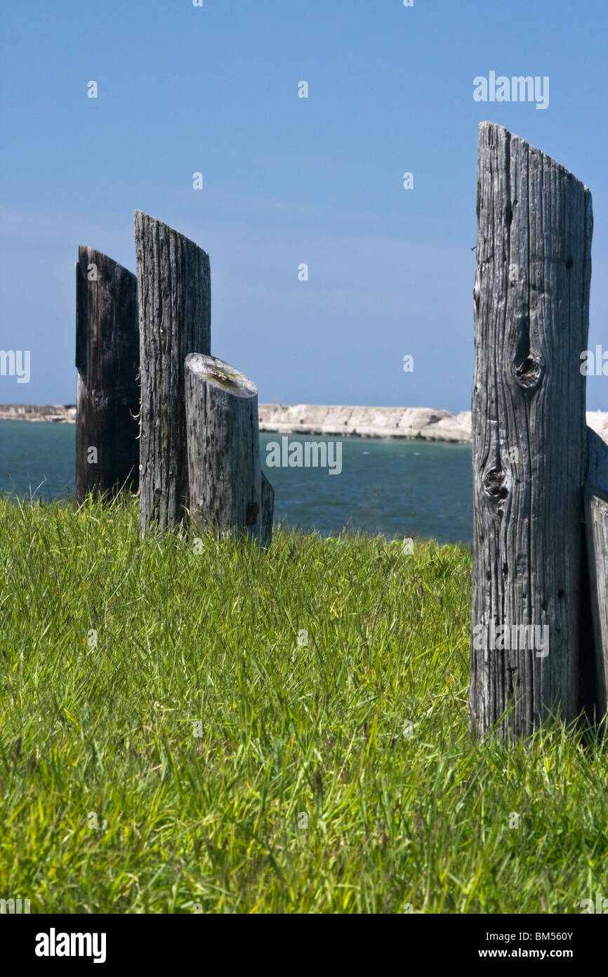 Old Pilings once used to tie up boats Stock Photo