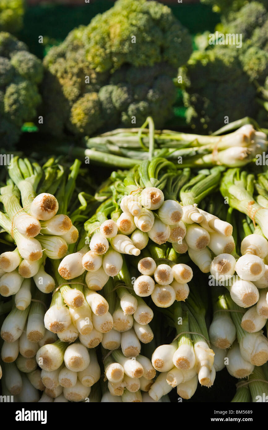 Green onions and broccoli at farmers market, close up Stock Photo - Alamy