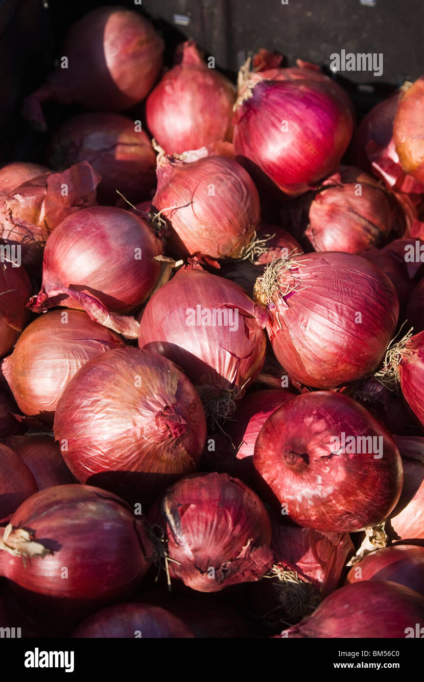 Red onions hi-res stock photography and images - Alamy