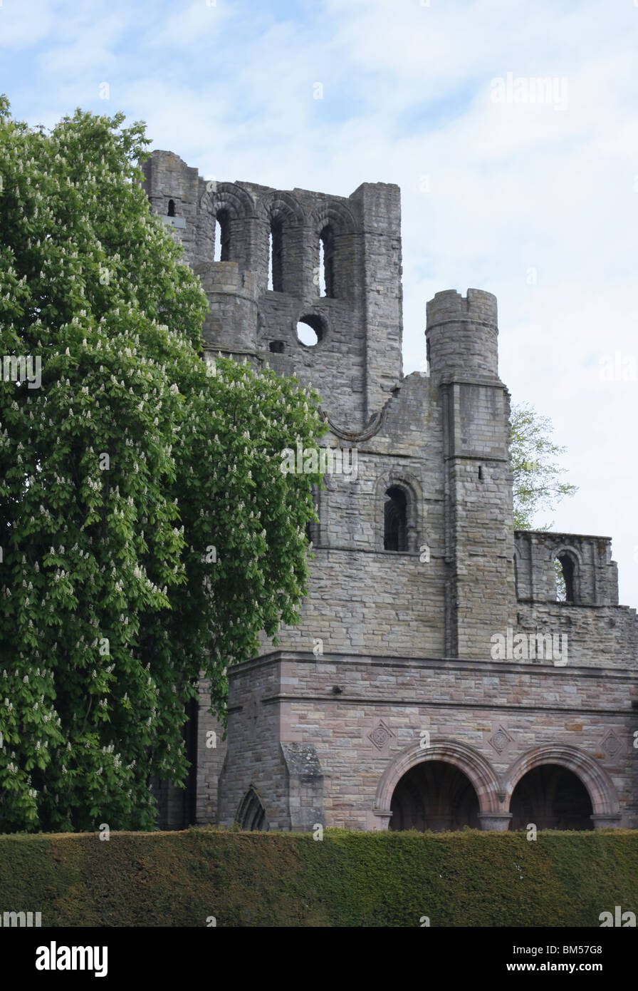 ruins of Kelso Abbey Scotland May 2010 Stock Photo