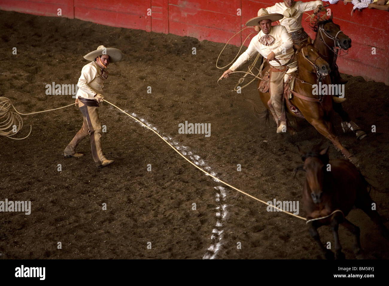 Mexican Charros lasso a horse at a charreria competition in Mexico City, June 8, 2008. Stock Photo
