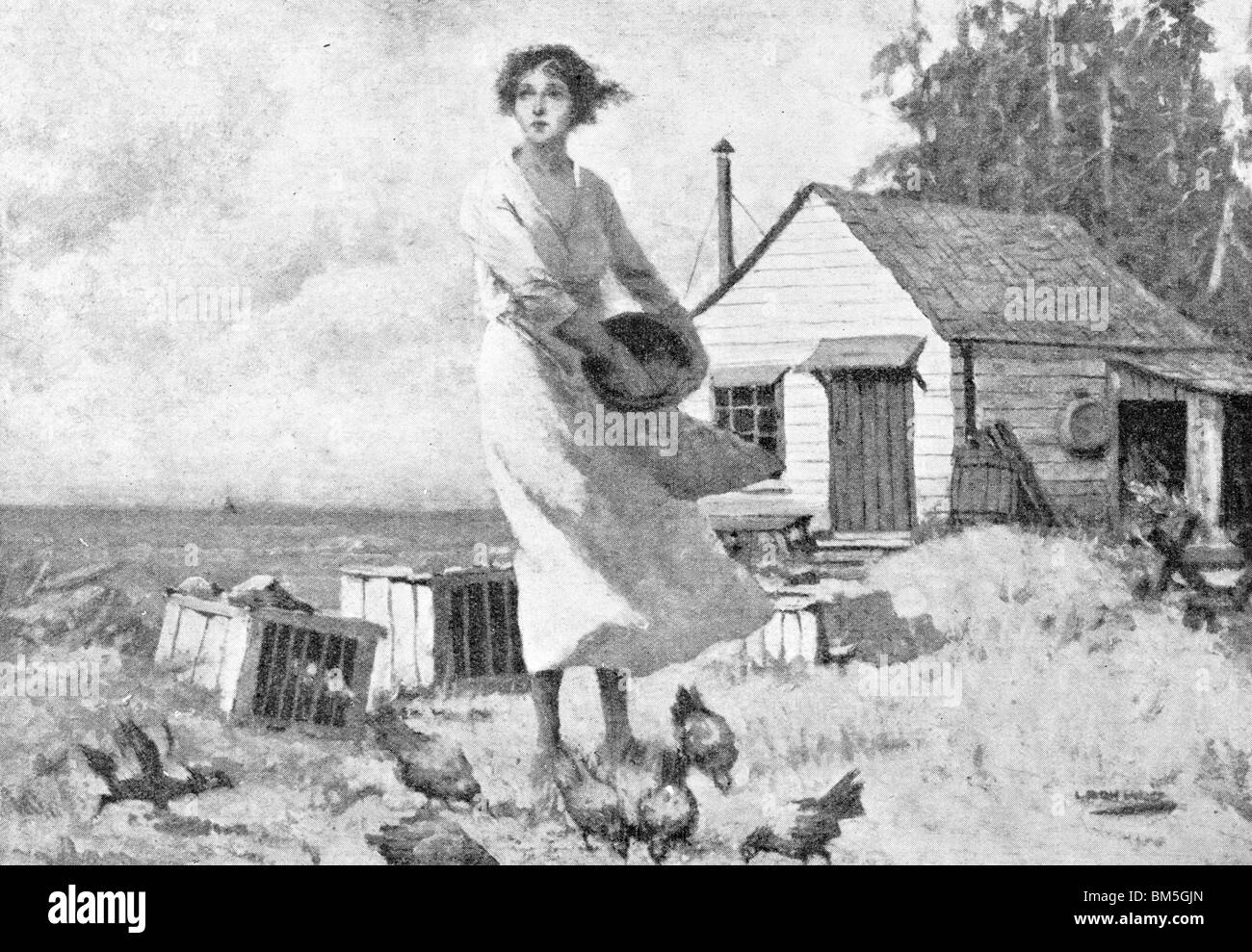 A Windy Day - Woman Feeding the Chickens Stock Photo