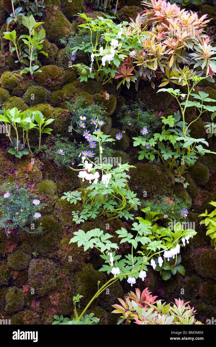 Chelsea flower show green wall hi-res stock photography and images - Alamy