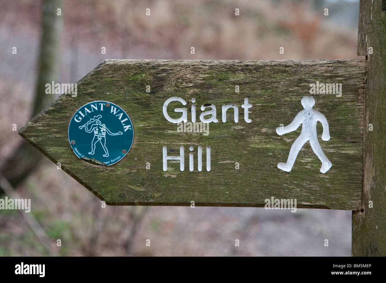 Signpost for the Cerne Abbas Giant and its hill Stock Photo