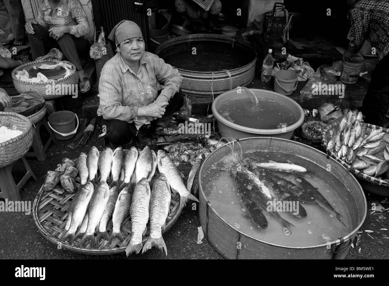 Fish Market, Hanoi, Vietnam Stock Photo Alamy