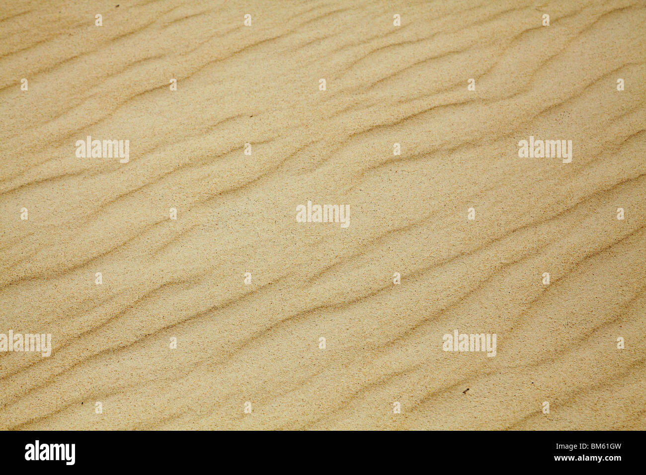 Sand Ripples, Henty Dunes, Strahan, Western Tasmania, Australia Stock Photo