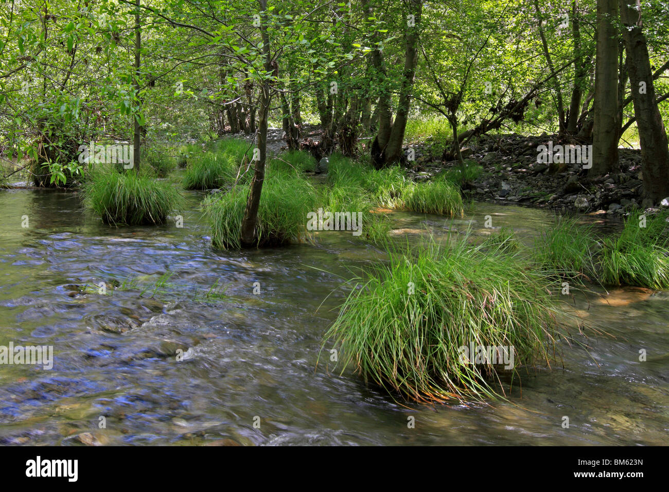 Alameda Creek flows through Sunol Regional Wilderness near Sunol, California. Stock Photo