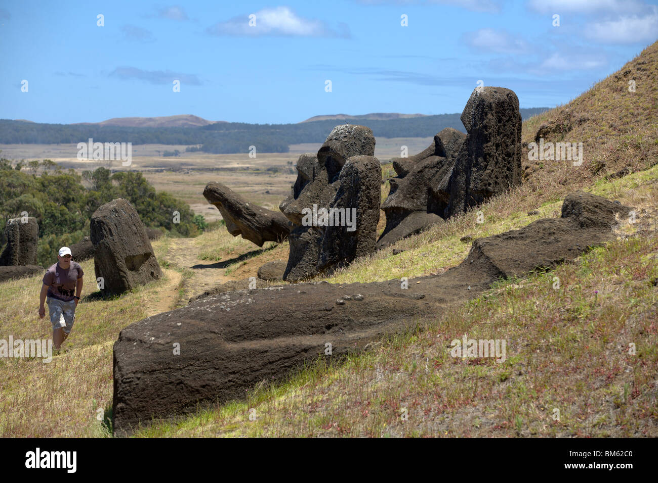 Big statues called moai in the quarry Rano Raraku at Easter Island