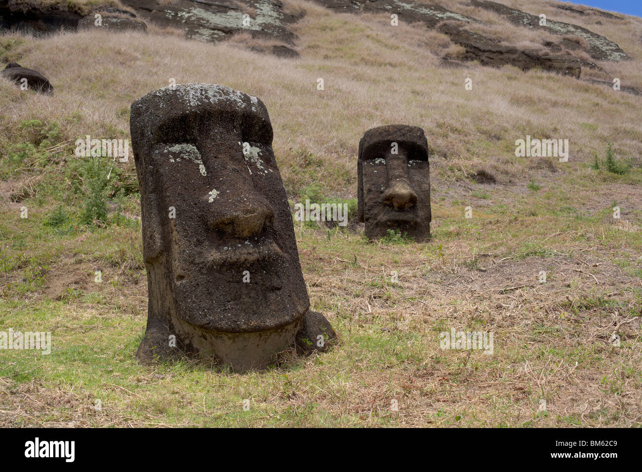 Big statues called moai in the quarry Rano Raraku at Easter Island