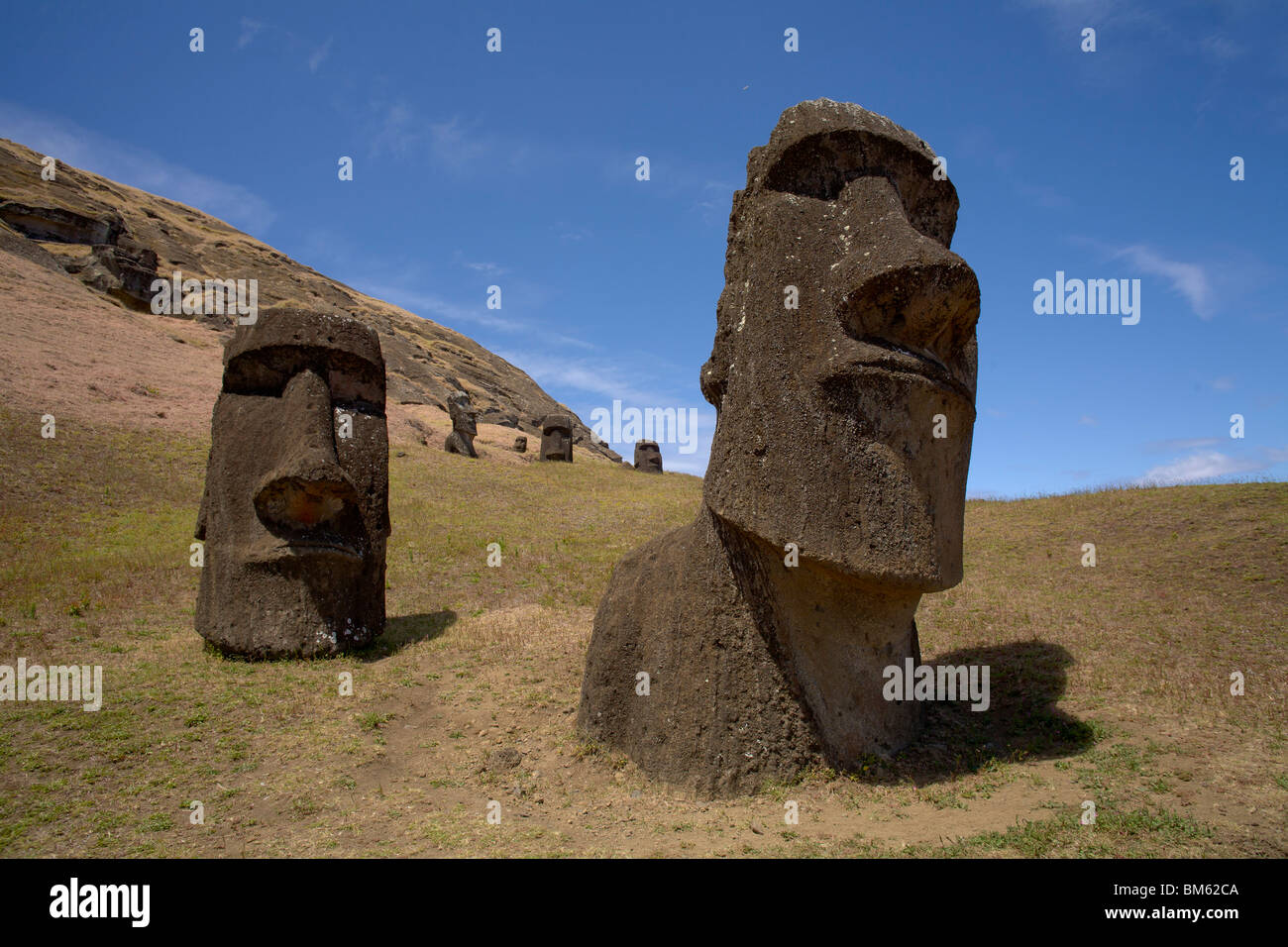 Big statues called moai in the quarry Rano Raraku at Easter Island