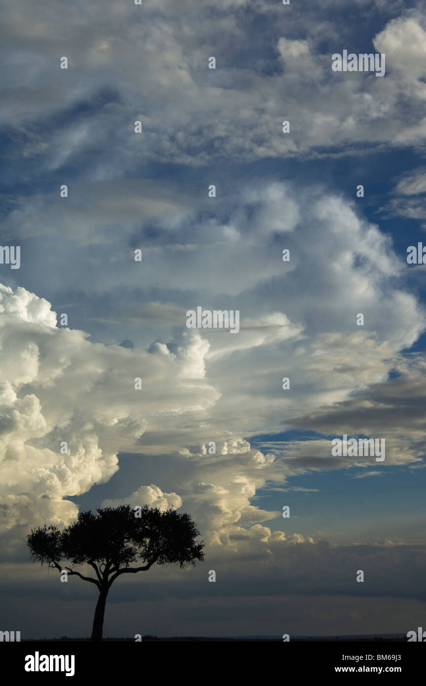 Masai mara landscape hi-res stock photography and images - Alamy