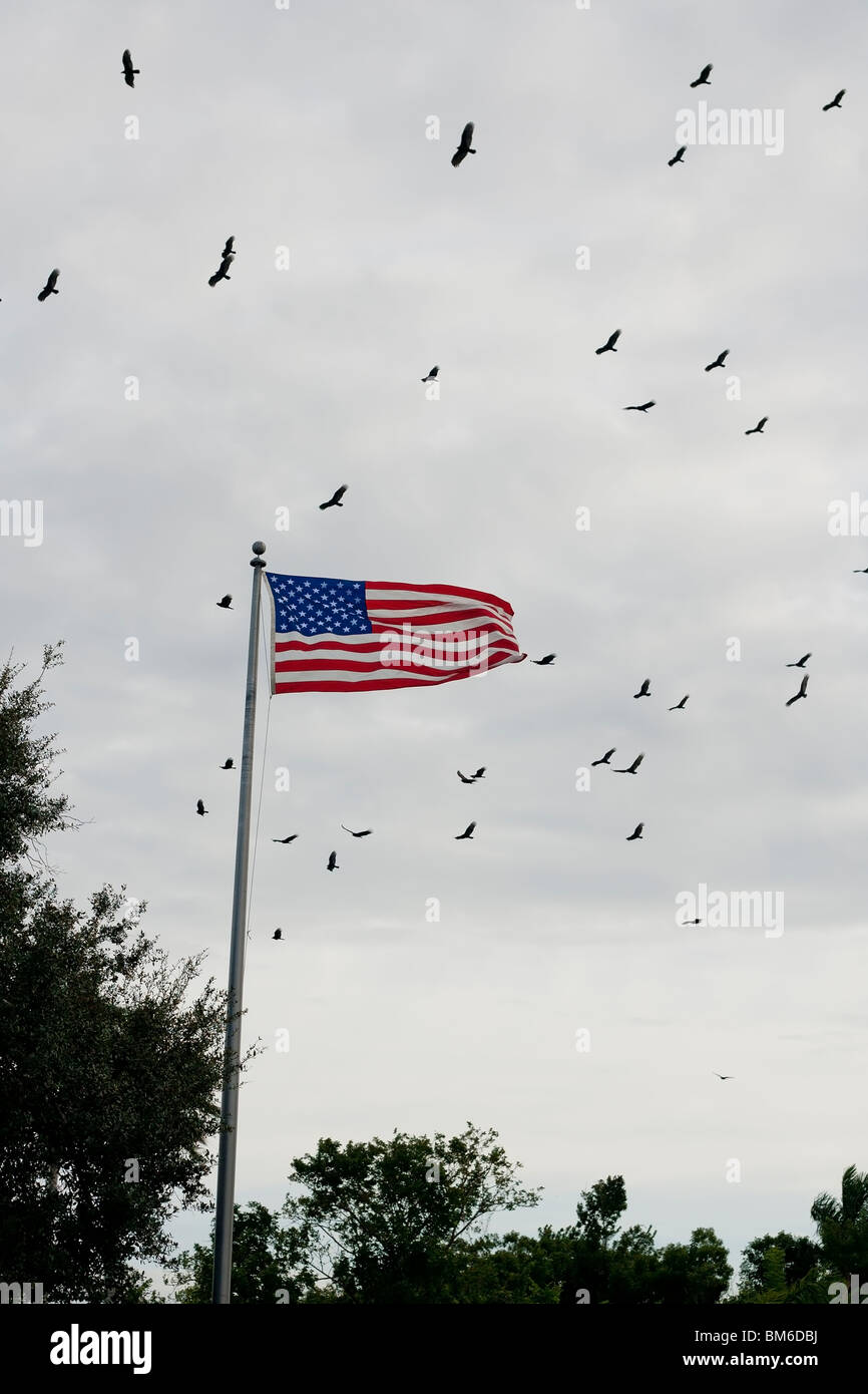 Turkey Vulture (Cathartes aura septentrionalis), flock in flight in an ominous cloudy sky with