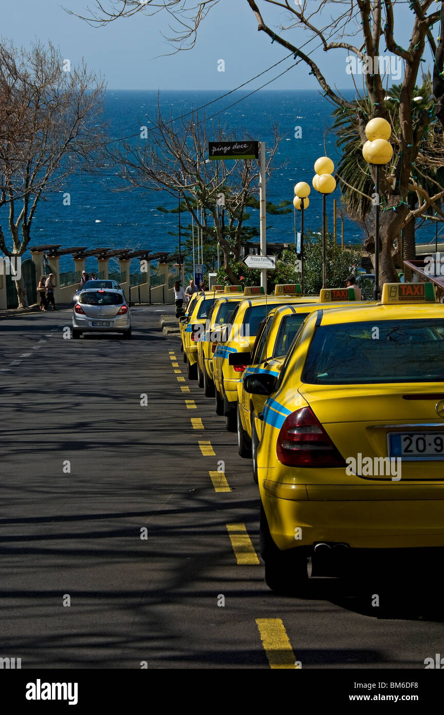 Line of yellow taxi cars cabs taxis cab parked waiting for business at roadside Funchal Madeira Portugal EU Europe Stock Photo