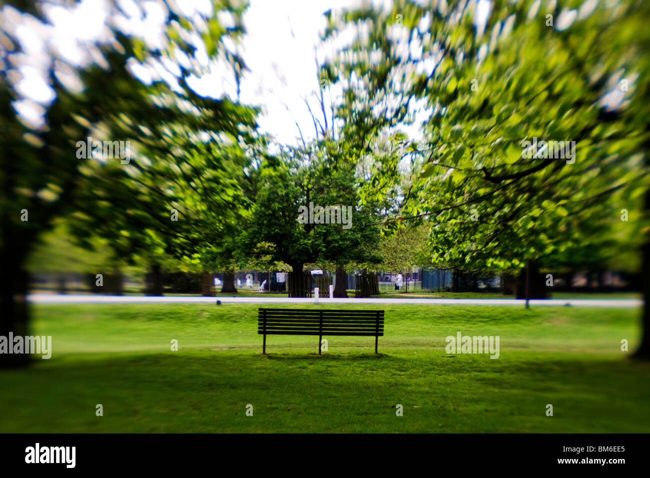 Bench and horse horse chestnut trees Stock Photo