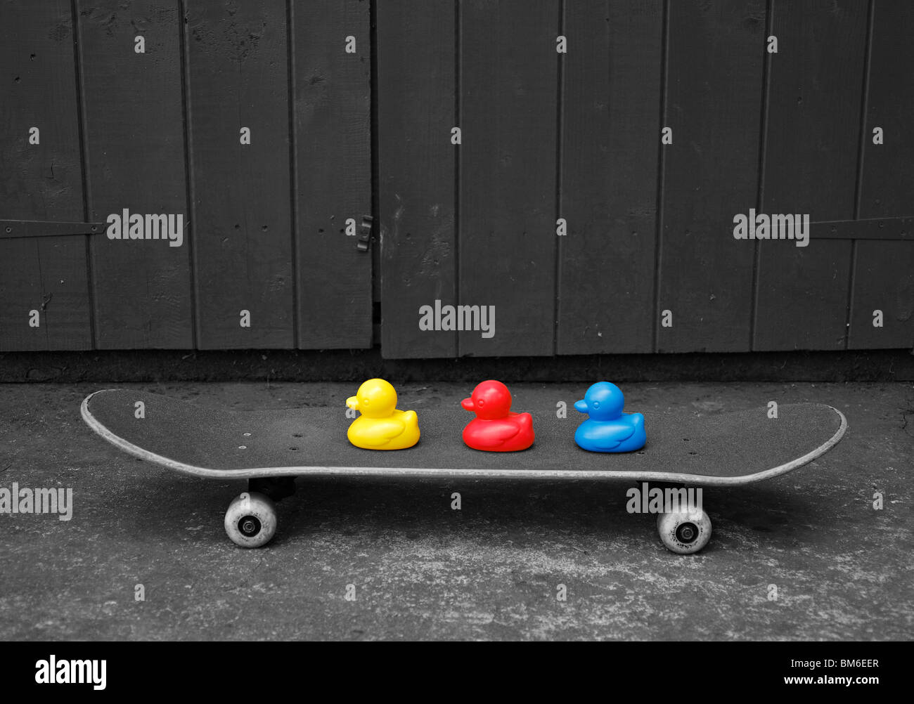 Toy ducks on a skateboard. Stock Photo