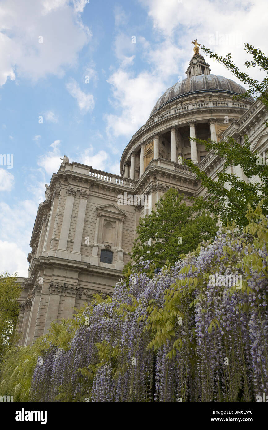 St. Paul's Cathedral at springtime, London Stock Photo