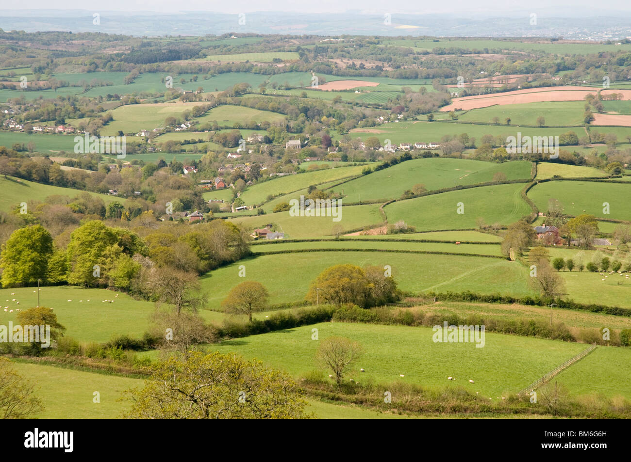 Overlooking the vale of the River Otter from White Cross on East Hill., with Tipton St John nesting down in the valley Stock Photo