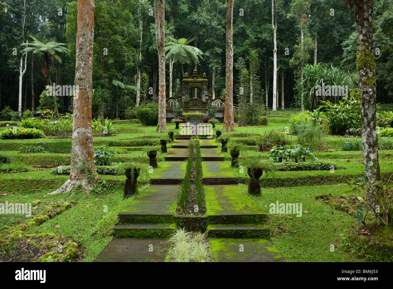 Bali botanical Garden Candikuning,Bali, Indonesia Stock Photo