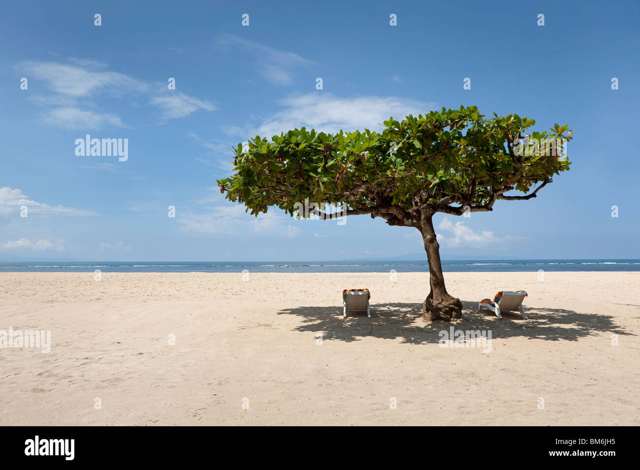 Empty sun loungers under a tree at the beach of Sanur, Bali, Indonesia Stock Photo