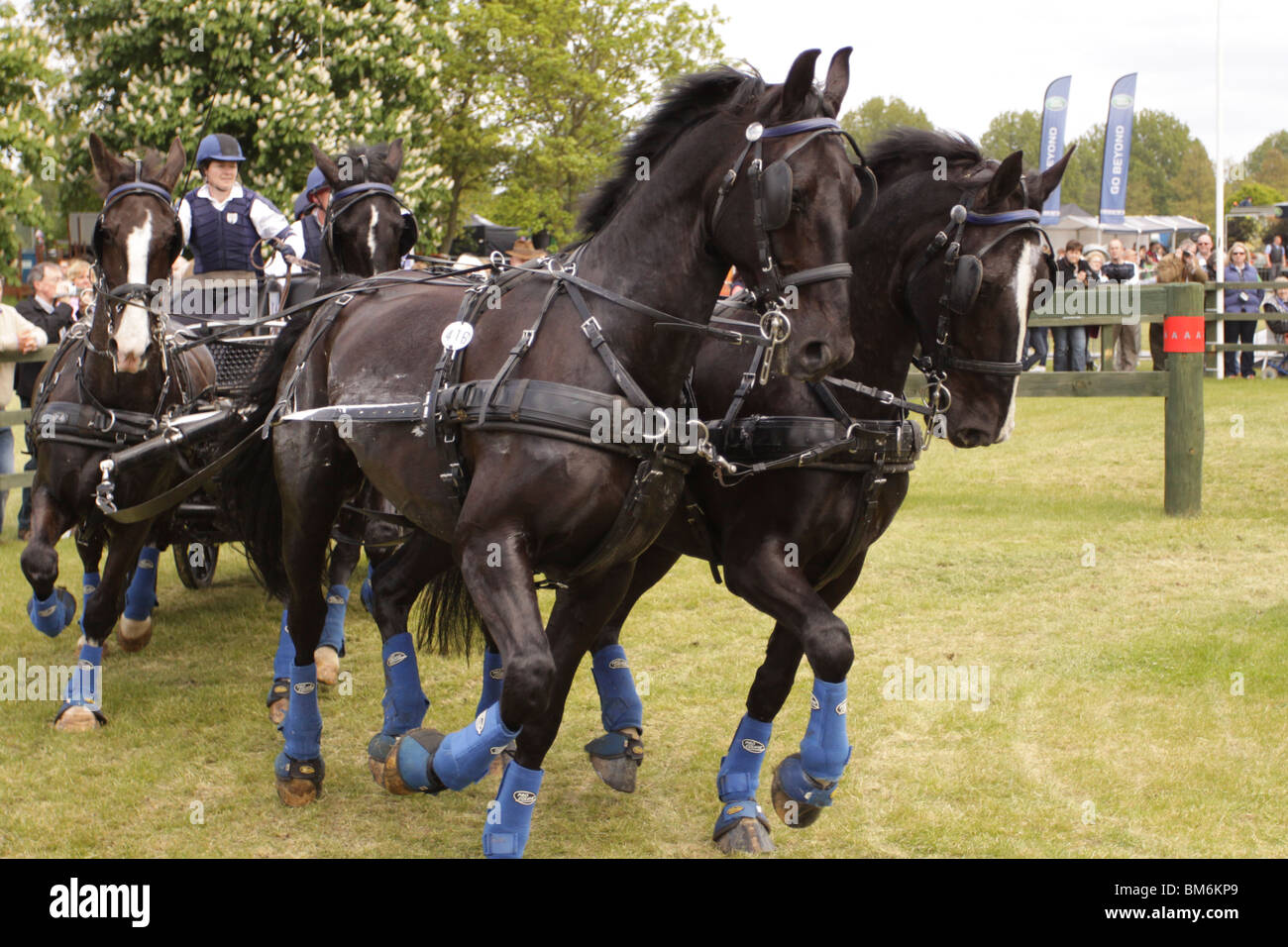 Horse carriage driving trials hires stock photography and images Alamy