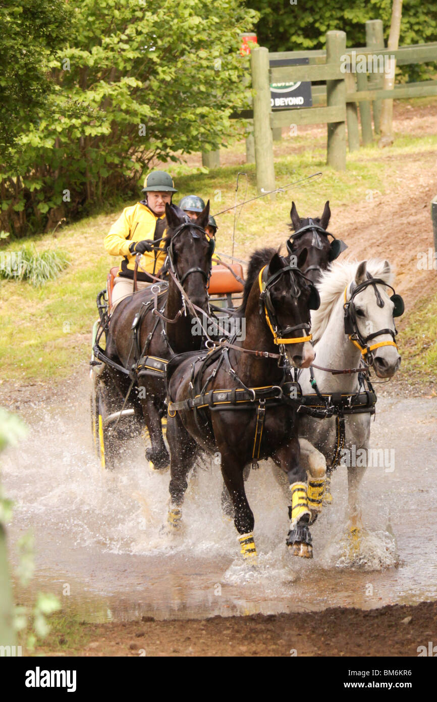 Driving horse hires stock photography and images Alamy