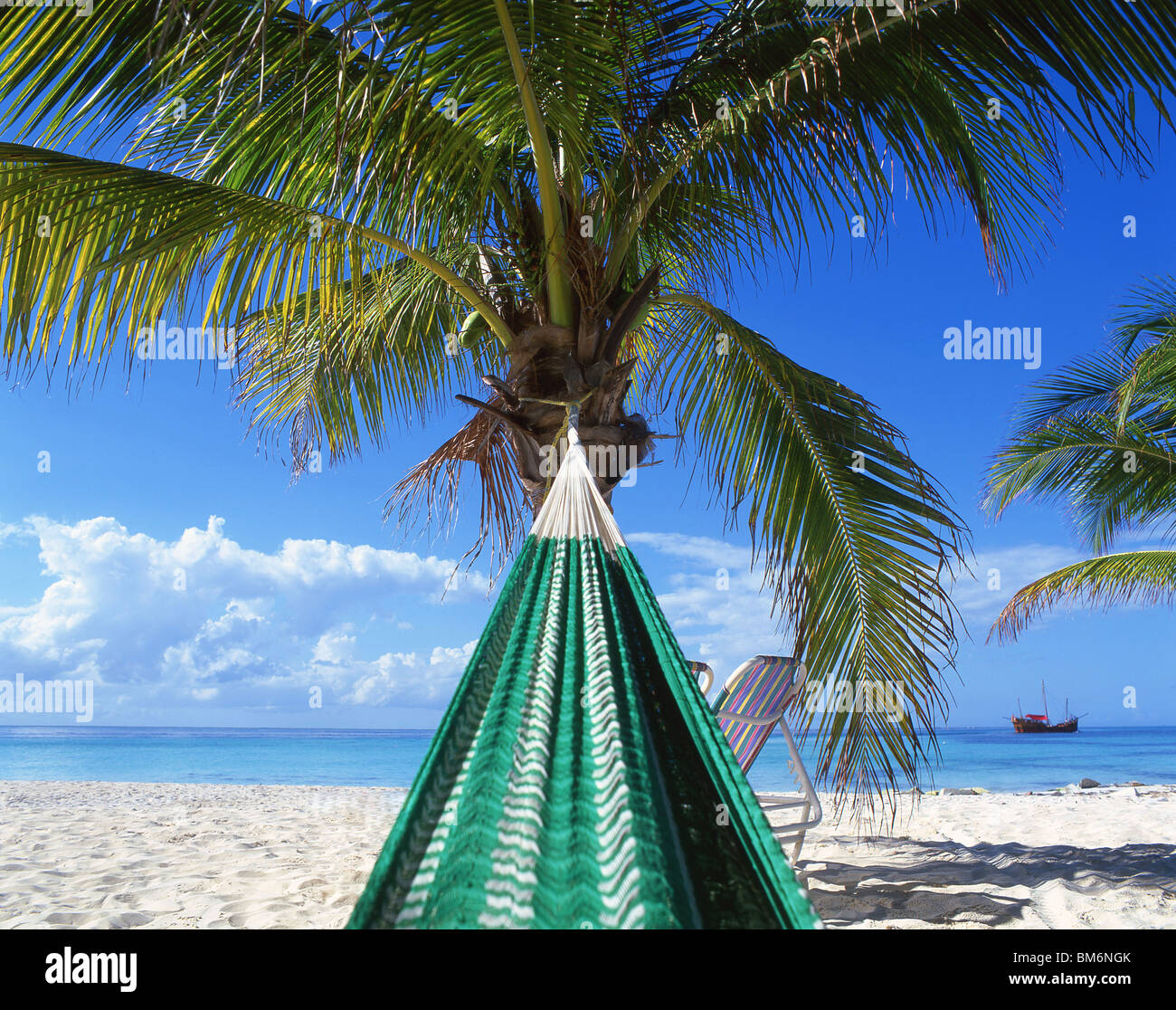 Beach hammock, North Beach, Punta Norte, Isla Mujeres, Yucatán Peninsula, Quintana Roo State