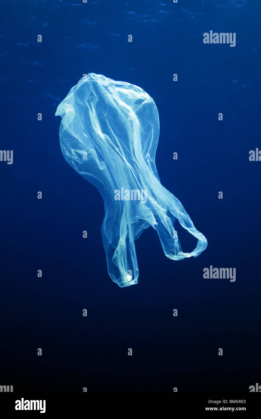 plastic bag floating underwater Stock Photo