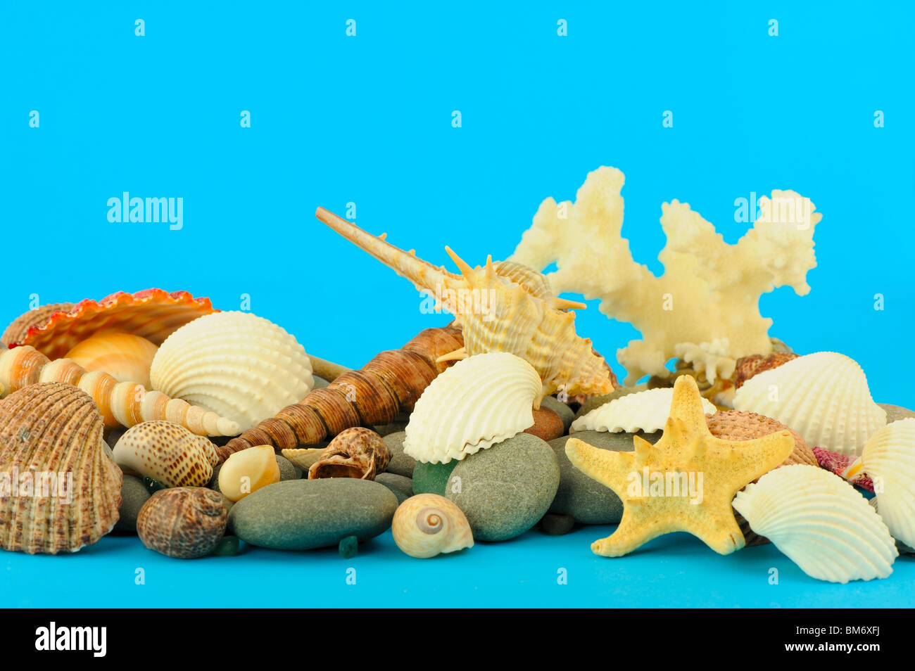 Set of objects of the sea underwater world. On isolated blue background ...