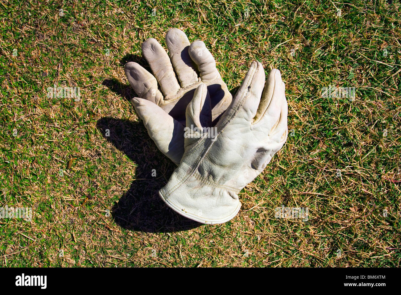 Work Gloves Tossed On A Lawn Stock Photo Alamy