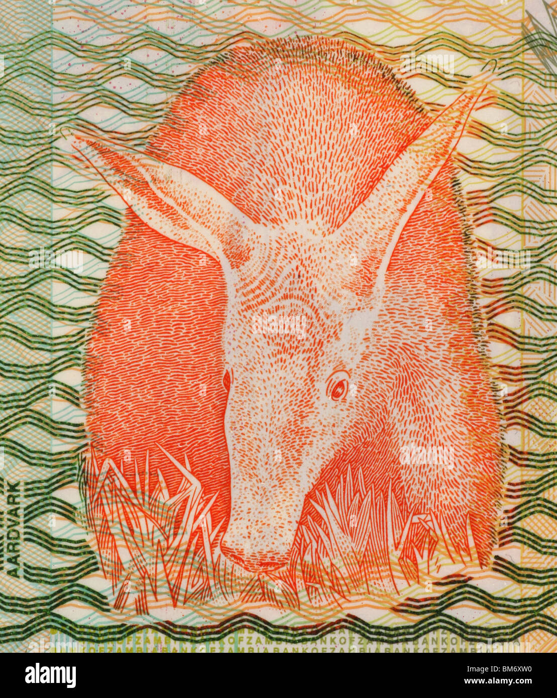 1000 zambian kwacha note on hi-res stock photography and