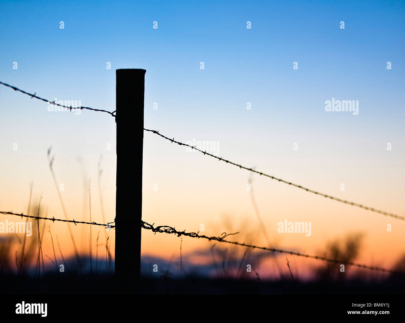 Silhouette Of Barbed Wire Fence Stock Photo - Alamy