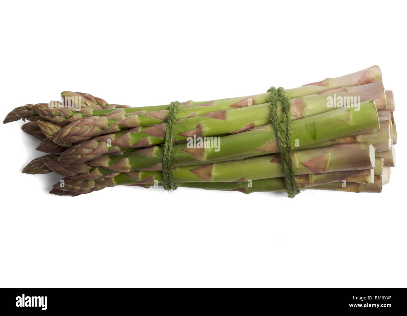 Asparagus on white background Stock Photo