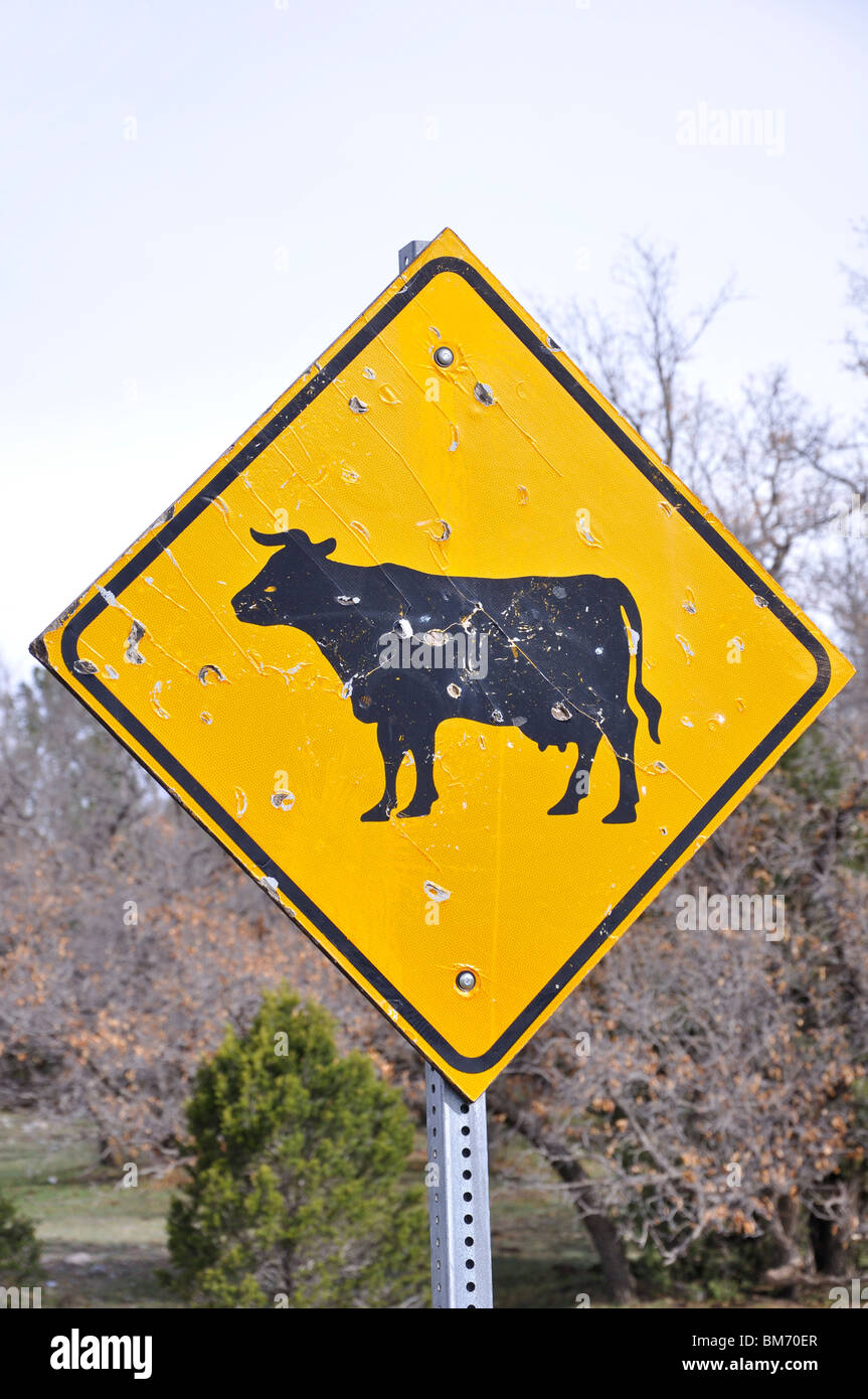 "Cow crossing" road sign, New Mexico, USA Stock Photo Alamy