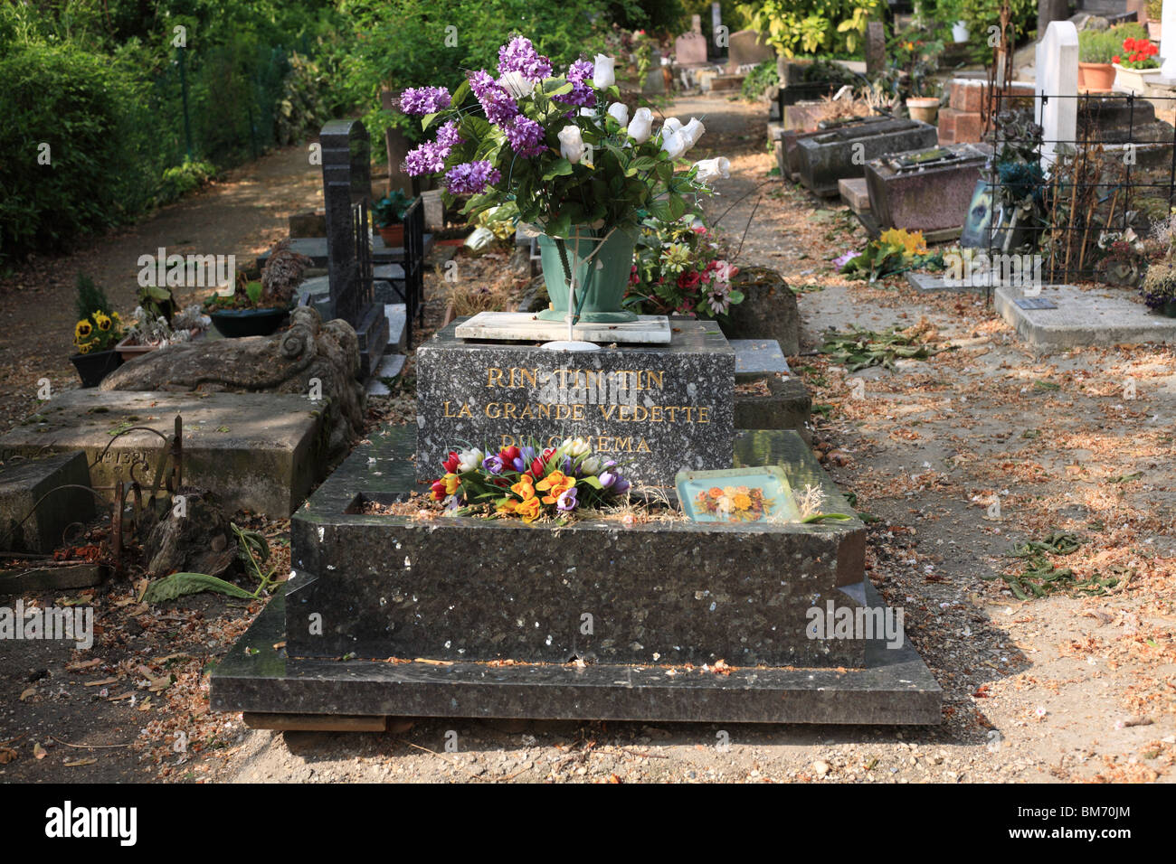 Grave of original canine film star Rin Tin Tin Cimetière des chiens d'Asnières-sur-Seine France Stock Photo