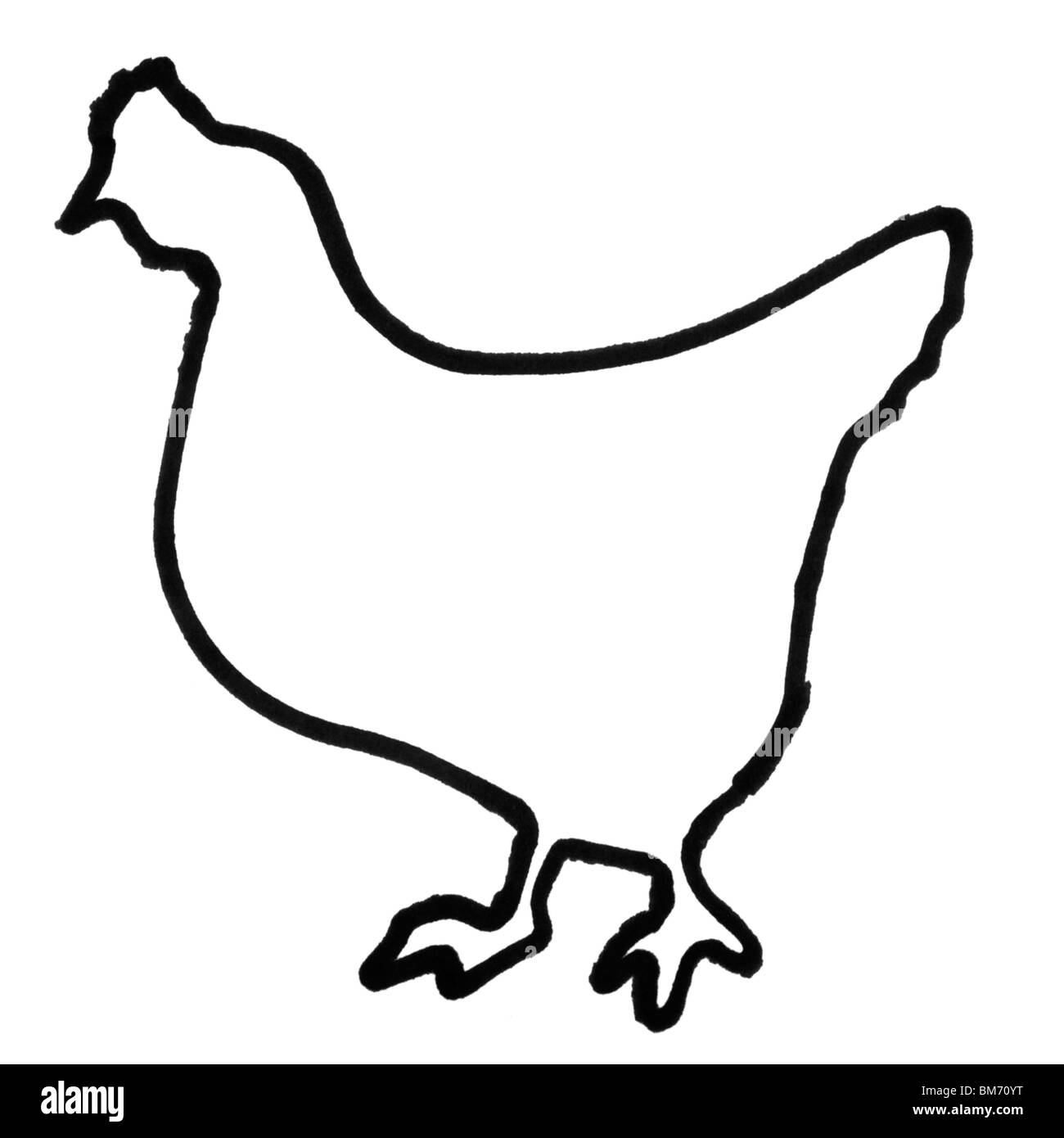 Outline of a hen Stock Photo Alamy