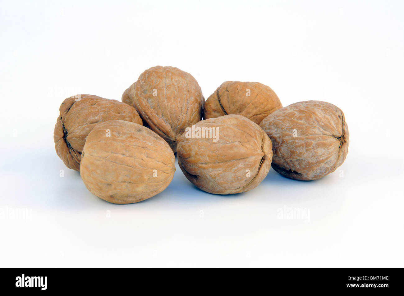 Walnuts in shells Stock Photo
