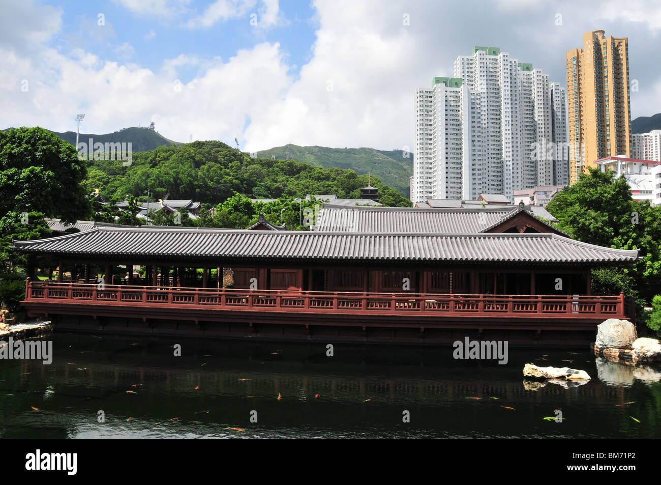 Blue Pond with golden carps in front of the Tang Style Pine Teahouse, Chi Lin Nunnery, Kowloon, Hong Kong, China Stock Photo