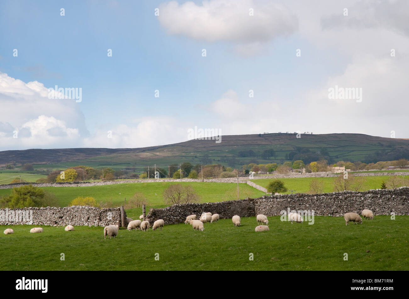 The countryside surrounding the village of Grassington in the Yorkshire Dales and Linton Falls Stock Photo