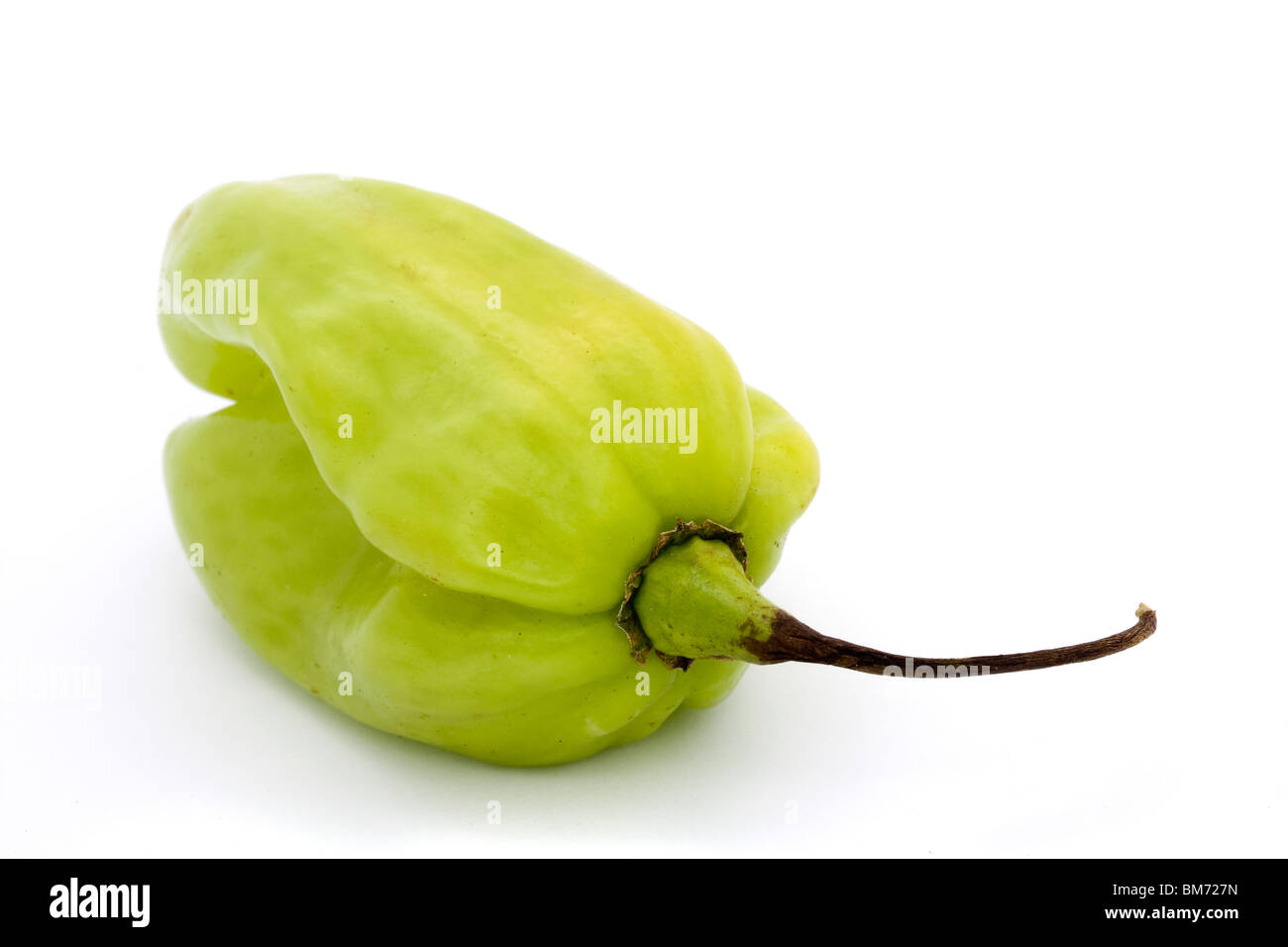 green scotch bonnet chilli pepper over white Stock Photo
