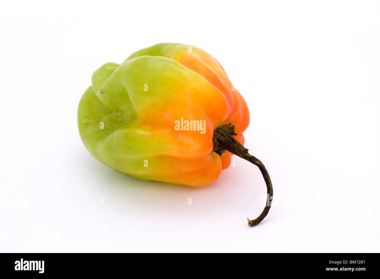 orange and green scotch bonnet chili pepper over white Stock Photo