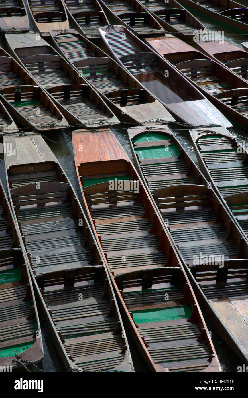 Punts lined up on the river Cherwell in Oxford Stock Photo