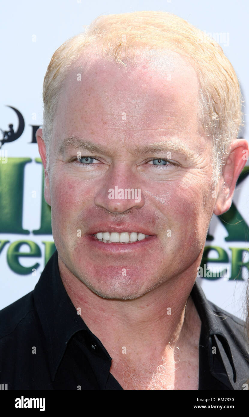 NEAL MCDONOUGH SHREK FOREVER AFTER LOS ANGELES PREMIERE BURBANK LOS ANGELES CA 16 May 2010 Stock Photo