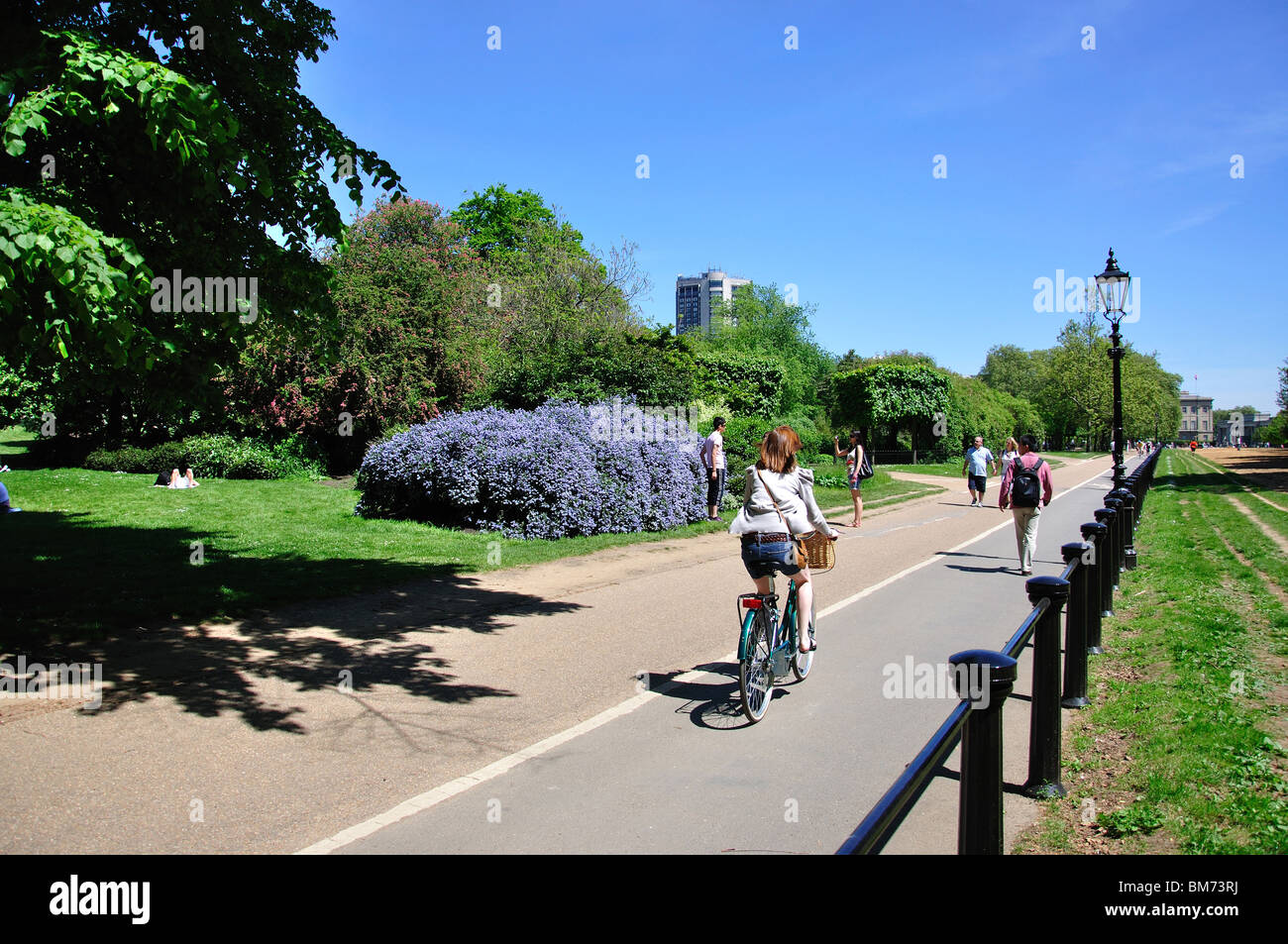 Cycle lane and walking path, Hyde Park, City of Westminster, Greater London, England, United Kingdom Stock Photo