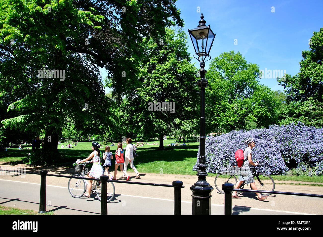 Cycle lane and walking path, Hyde Park, City of Westminster, London, England, United Kingdom Stock Photo