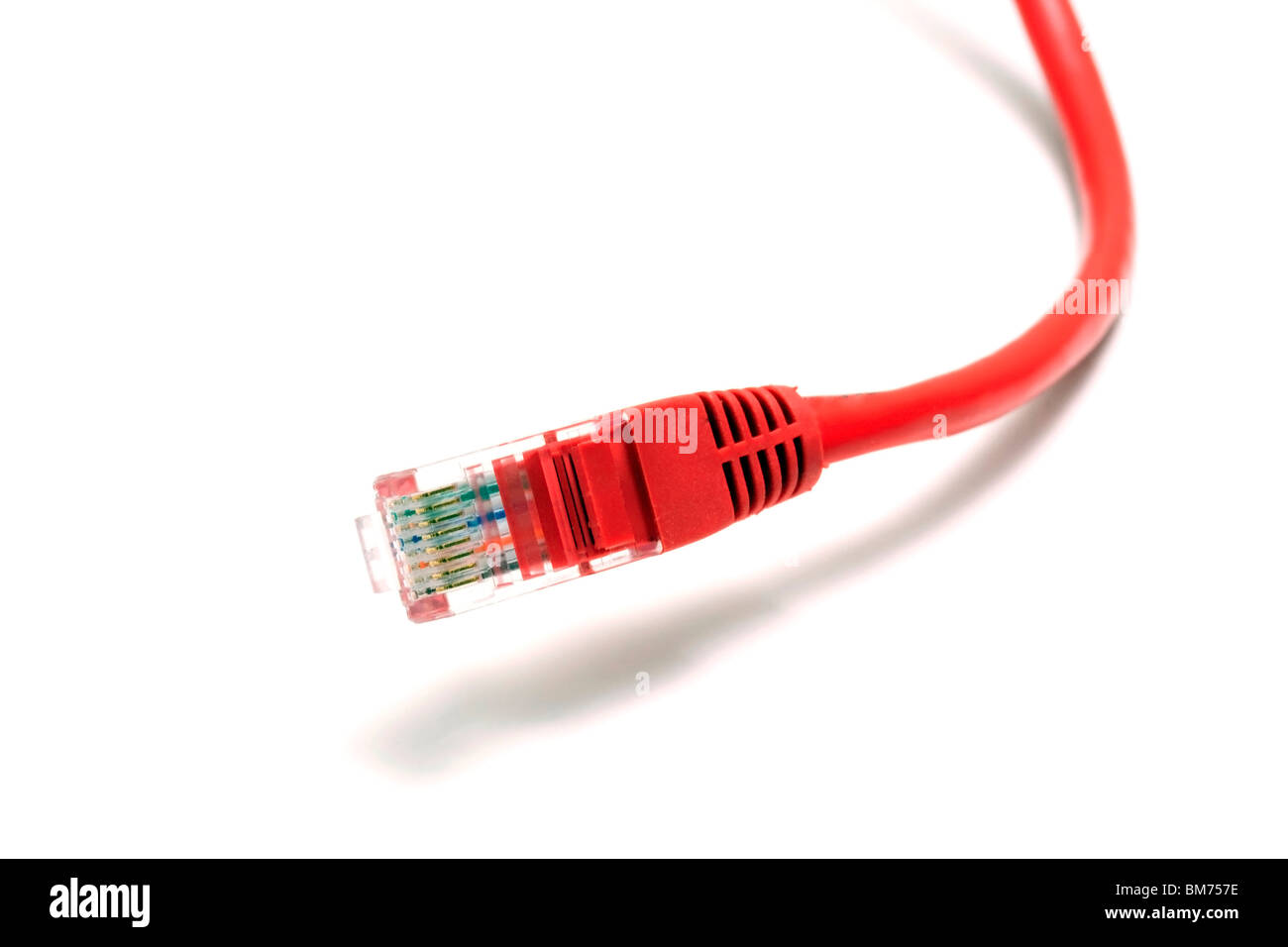 Computer Network Cable isolated on white background Stock Photo - Alamy